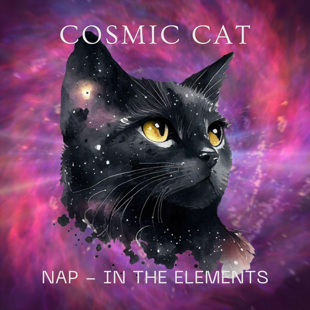 COSMIC CAT NAP - IN YOUR ELEMENT -8TH MARCH